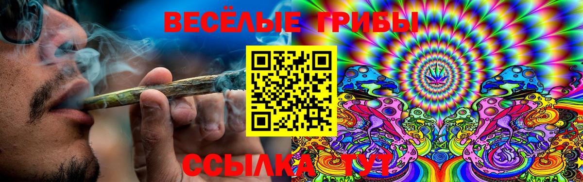 Псилоцибиновые грибы Psilocybine cubensis  Вход с VPN  наркошоп  Нижнекамск 